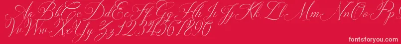 Шрифт Solidaritha Script – розовые шрифты на красном фоне