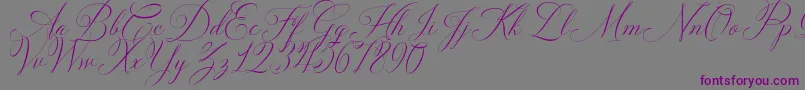フォントSolidaritha Script – 紫色のフォント、灰色の背景