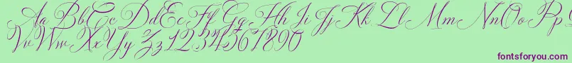 Solidaritha Script-Schriftart – Violette Schriften auf grünem Hintergrund