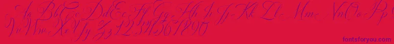 Solidaritha Script Font – Purple Fonts on Red Background