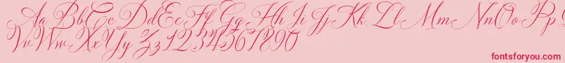 Solidaritha Script-Schriftart – Rote Schriften auf rosa Hintergrund