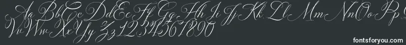 Шрифт Solidaritha Script – белые шрифты на чёрном фоне