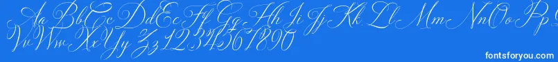 フォントSolidaritha Script – 青い背景に白い文字