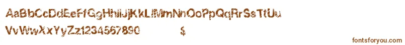 More about SolidEvent Font SolidEvent Font – Brown Fonts