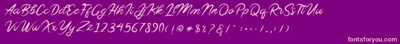 Sollasy Font – Pink Fonts on Purple Background