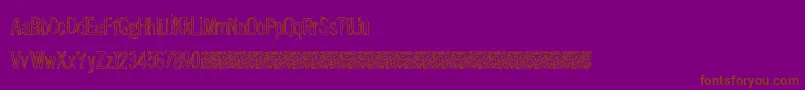 SolutionFive Font – Brown Fonts on Purple Background