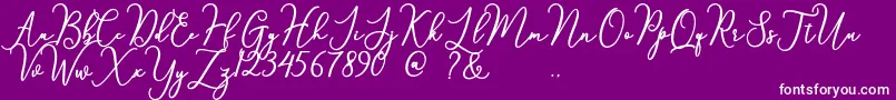 something Font – White Fonts on Purple Background