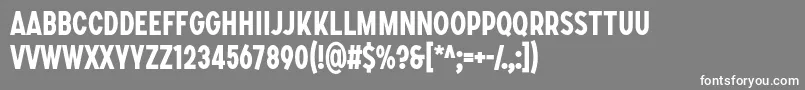 SONGER C Bold Font – White Fonts on Gray Background