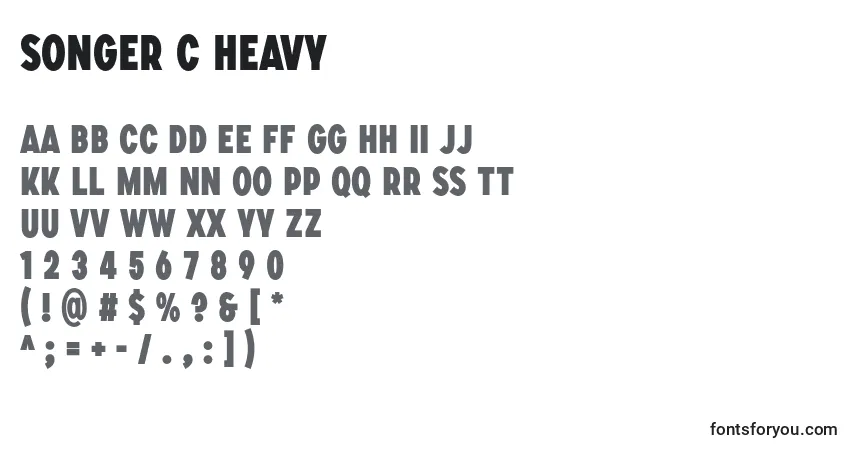 Шрифт SONGER C Heavy – алфавит, цифры, специальные символы