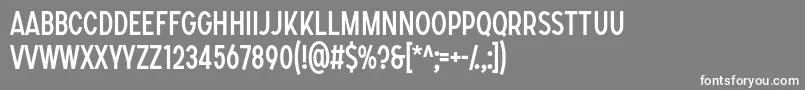 SONGER C Regular Font – White Fonts on Gray Background