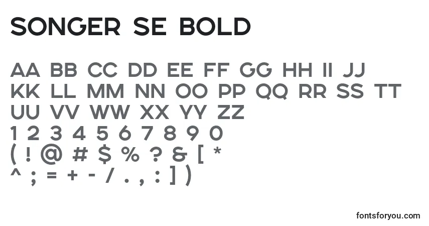 Шрифт SONGER SE Bold – алфавит, цифры, специальные символы