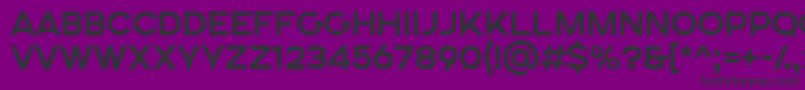 SONGER SE Bold-Schriftart – Schwarze Schriften auf violettem Hintergrund