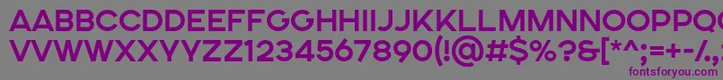 Шрифт SONGER SE Bold – фиолетовые шрифты на сером фоне