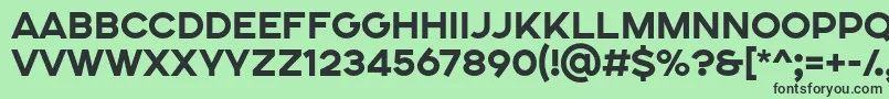 SONGER SE ExtraBold Font – Black Fonts on Green Background