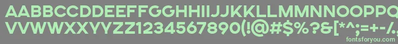 SONGER SE ExtraBold Font – Green Fonts on Gray Background