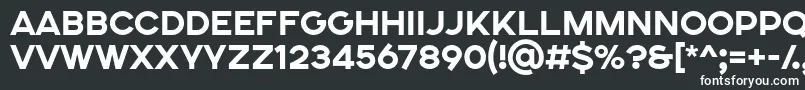 フォントSONGER SE ExtraBold – 黒い背景に白い文字