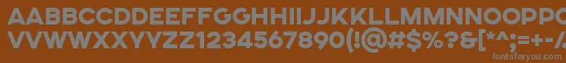 フォントSONGER SE Heavy – 茶色の背景に灰色の文字