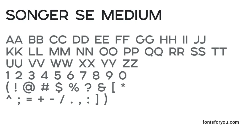 Шрифт SONGER SE Medium – алфавит, цифры, специальные символы