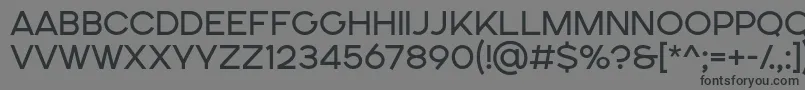 フォントSONGER SE Regular – 黒い文字の灰色の背景