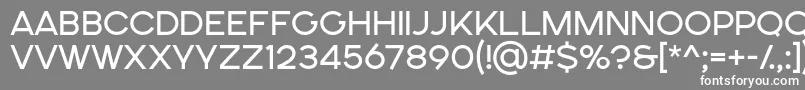 フォントSONGER SE Regular – 灰色の背景に白い文字