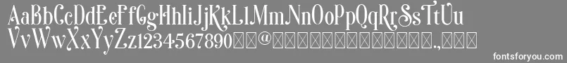 Sonia Font – White Fonts on Gray Background