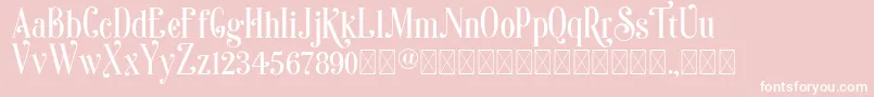 Sonia Font – White Fonts on Pink Background