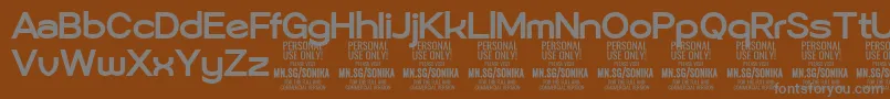 Sonika Bo PERSONAL-Schriftart – Graue Schriften auf braunem Hintergrund