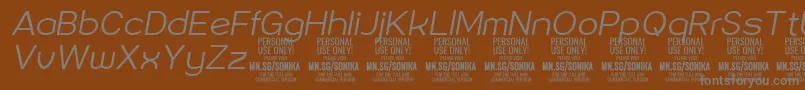 Sonika Li Ita PERSONAL Font – Gray Fonts on Brown Background