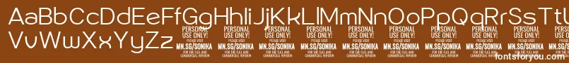 Sonika Li PERSONAL Font – White Fonts on Brown Background