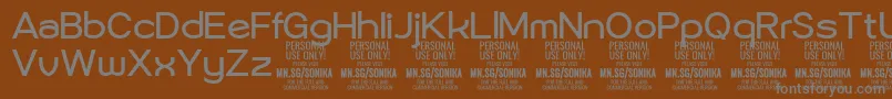 Sonika Re PERSONAL-Schriftart – Graue Schriften auf braunem Hintergrund