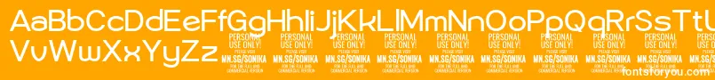 Sonika Re PERSONAL Font – White Fonts on Orange Background