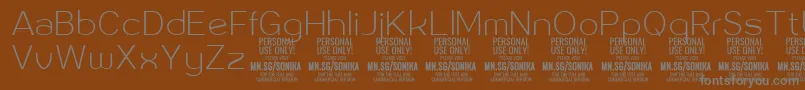 Więcej informacji o czcionce Sonika Th PERSONAL Czcionka Sonika Th PERSONAL – szare czcionki na brązowym tle