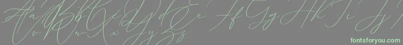 Sophia Martini Font – Green Fonts on Gray Background