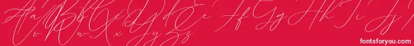 Sophia Martini Font – White Fonts on Red Background