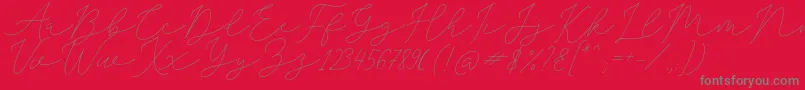 SophiaChristie Font – Gray Fonts on Red Background