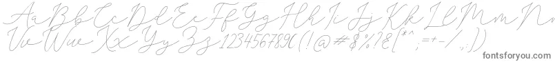 SophiaChristie-Schriftart – Graue Schriften auf weißem Hintergrund