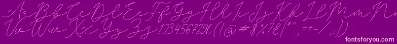 SophiaChristie Font – Pink Fonts on Purple Background
