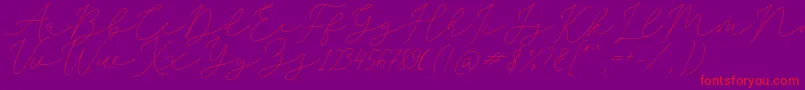 SophiaChristie Font – Red Fonts on Purple Background