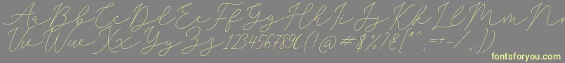 SophiaChristie-Schriftart – Gelbe Schriften auf grauem Hintergrund