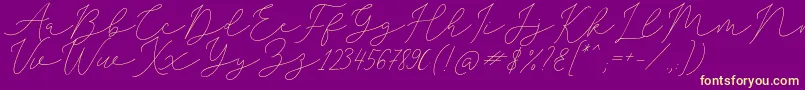 SophiaChristie Font – Yellow Fonts on Purple Background