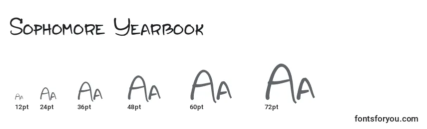 Размеры шрифта Sophomore Yearbook