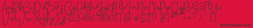 フォントSoul Amsterdams Reguler – 赤い背景に黒い文字