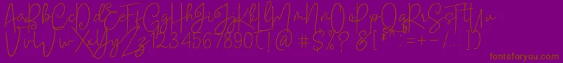 Soul Amsterdams Reguler Font – Brown Fonts on Purple Background