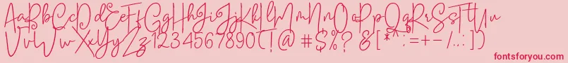 Soul Amsterdams Reguler Font – Red Fonts on Pink Background
