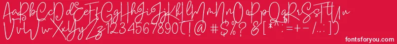 フォントSoul Amsterdams Reguler – 赤い背景に白い文字