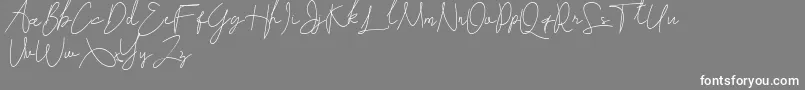 フォントSoulter – 灰色の背景に白い文字