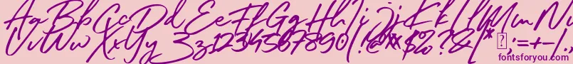 South Celebes Font Font – Purple Fonts on Pink Background