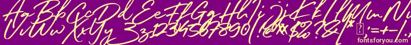 South Celebes Font Font – Yellow Fonts on Purple Background