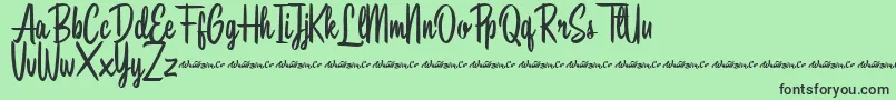 Southbeach Demo Font – Black Fonts on Green Background