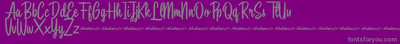 Police Southbeach Demo – polices grises sur fond violet